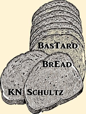 cover image of Bastard Bread